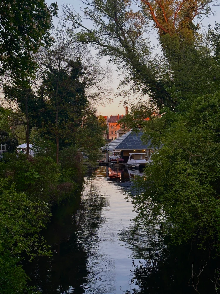 Image uploaded by Anshika