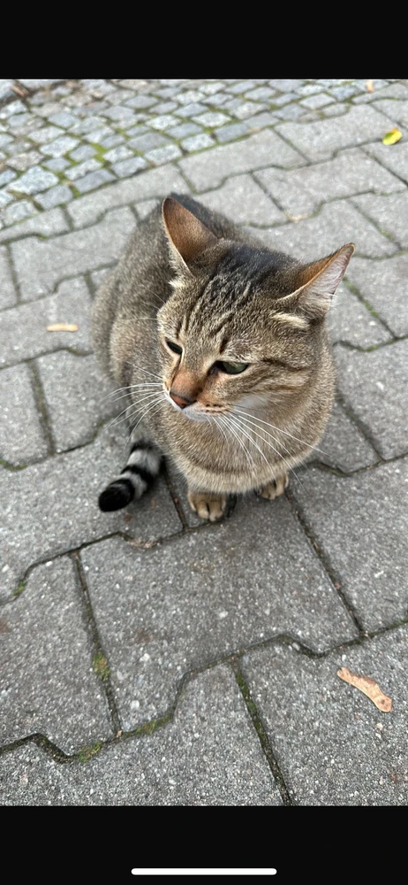 Image uploaded by Anshika