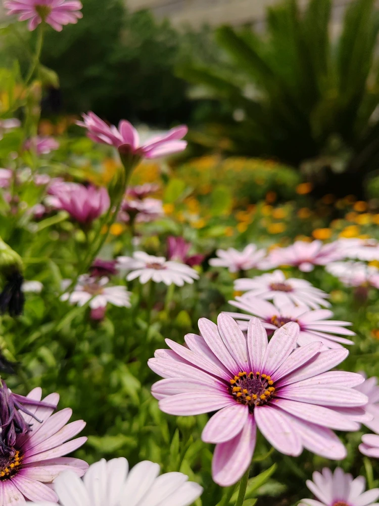 GIF آپلود شده توسط Ali💚💚💚