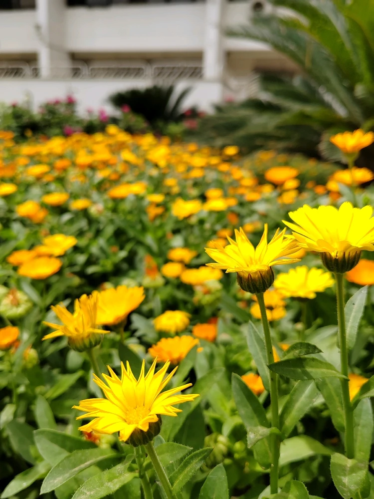 GIF hochgeladen von Ali💚💚💚