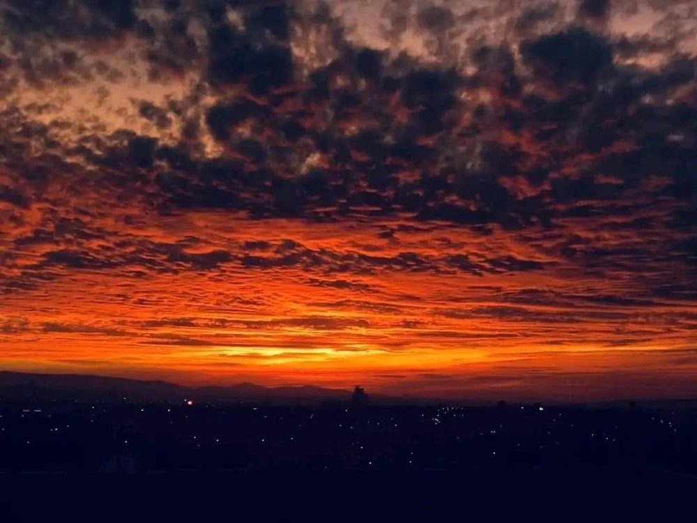 Image uploaded by ❤ Sophia aka Mango Mami ❤️