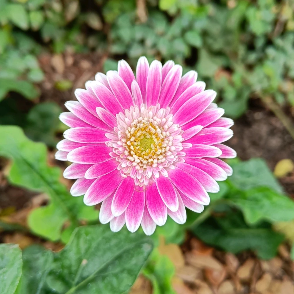 GIF uploaded by Pratz