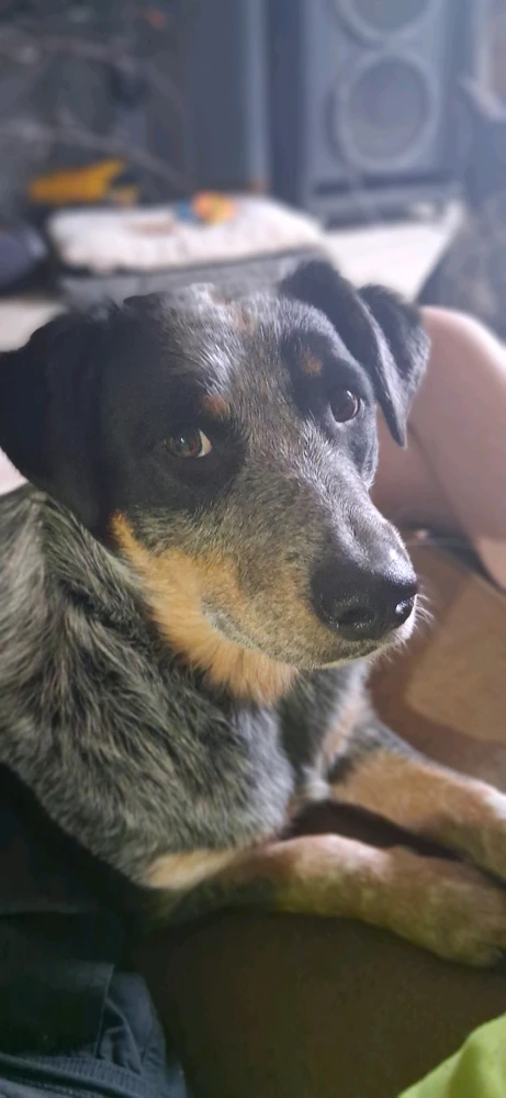 GIF uploaded by Roland