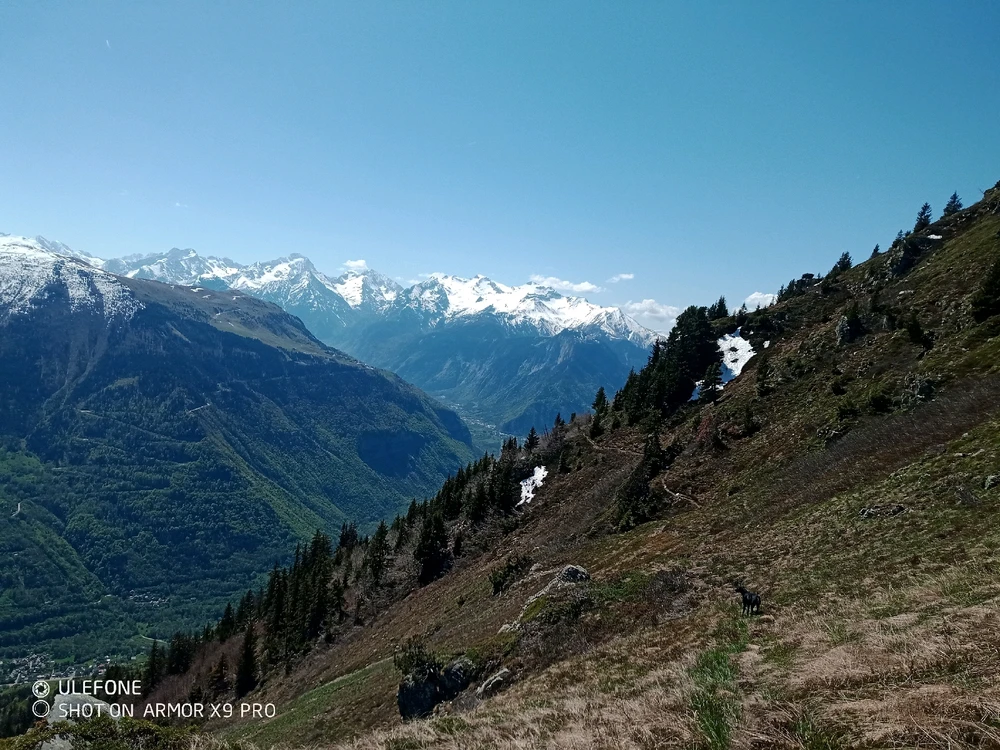 Image ajoutée par Virgil