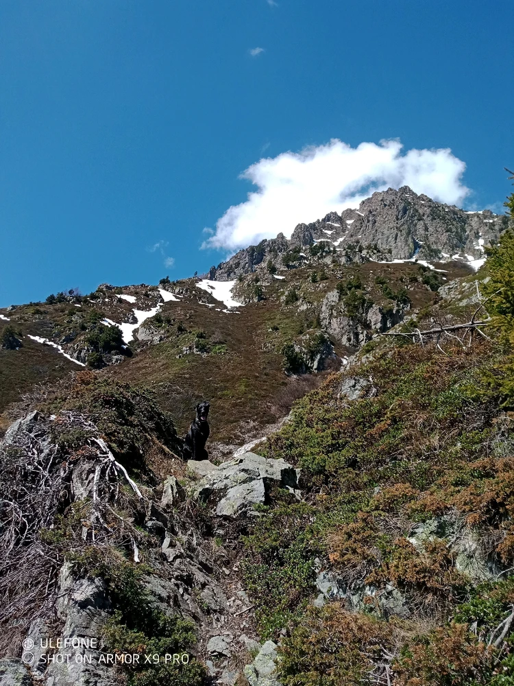 Image ajoutée par Virgil