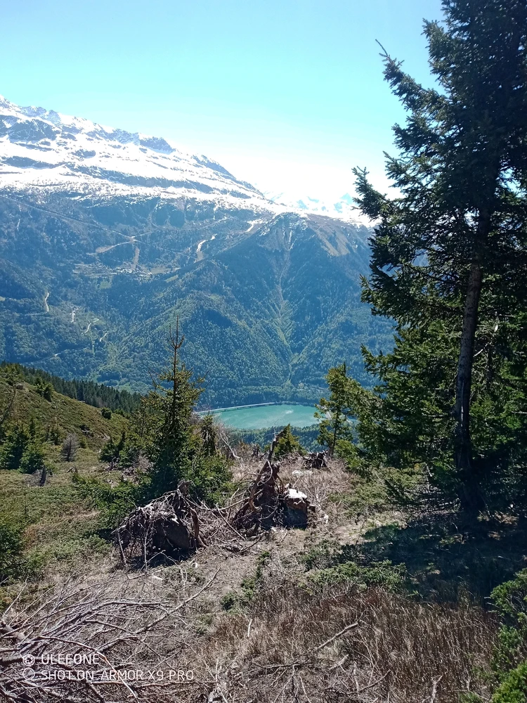 Image ajoutée par Virgil