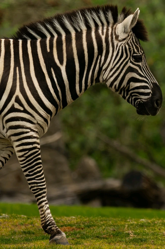 GIF uploaded by Sachil