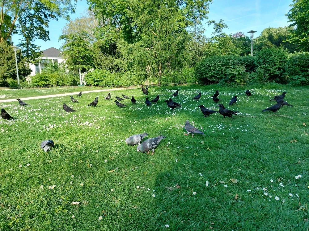 Bild hochgeladen von Sid