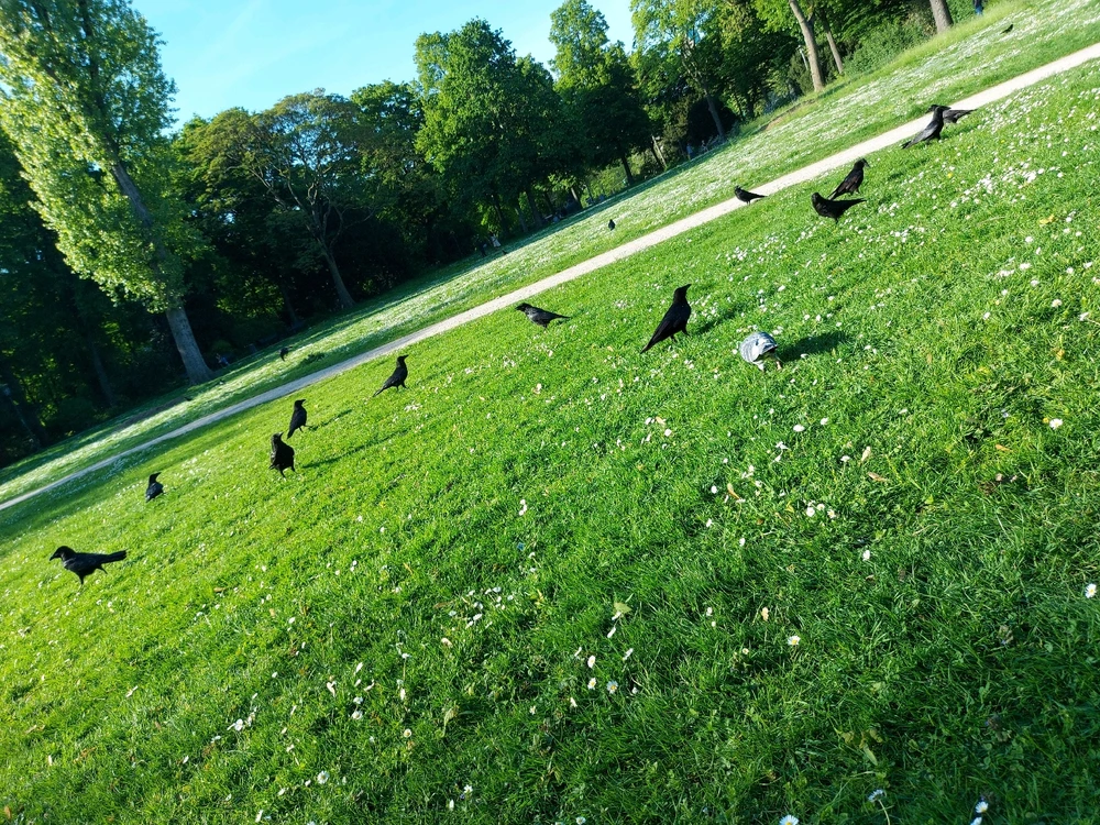 Bild hochgeladen von Sid