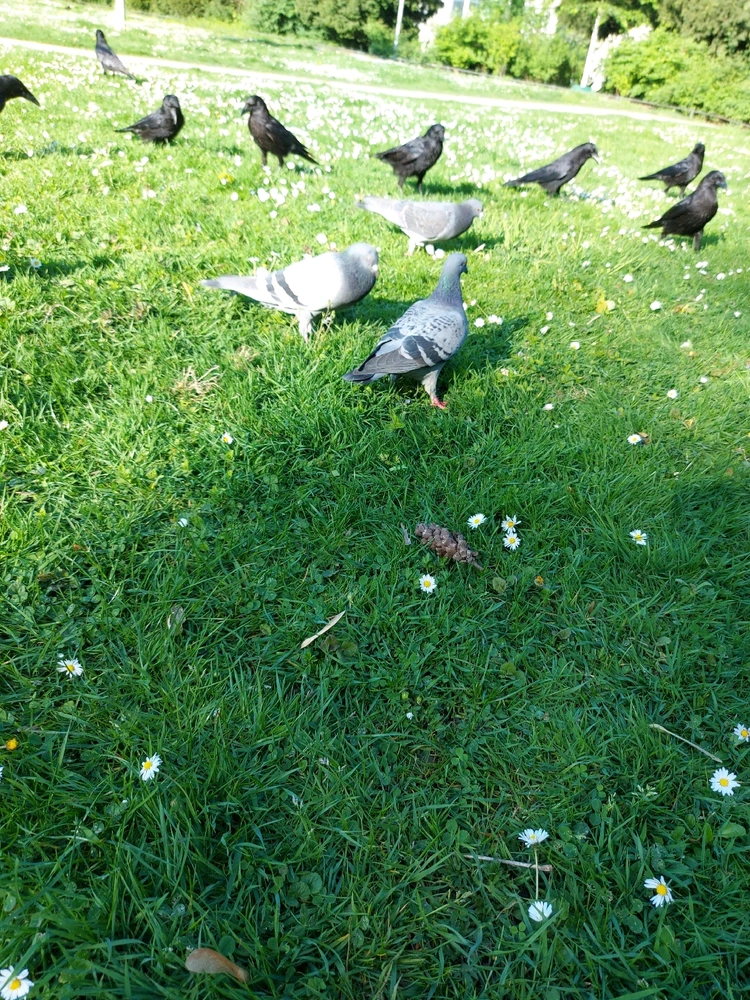 Bild hochgeladen von Sid