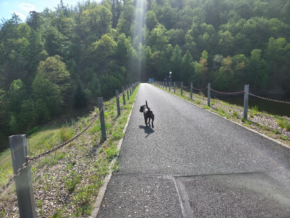 Obrázek nahrál Moschino