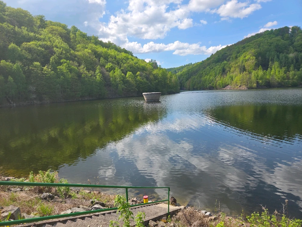 Obrázek nahrál Moschino