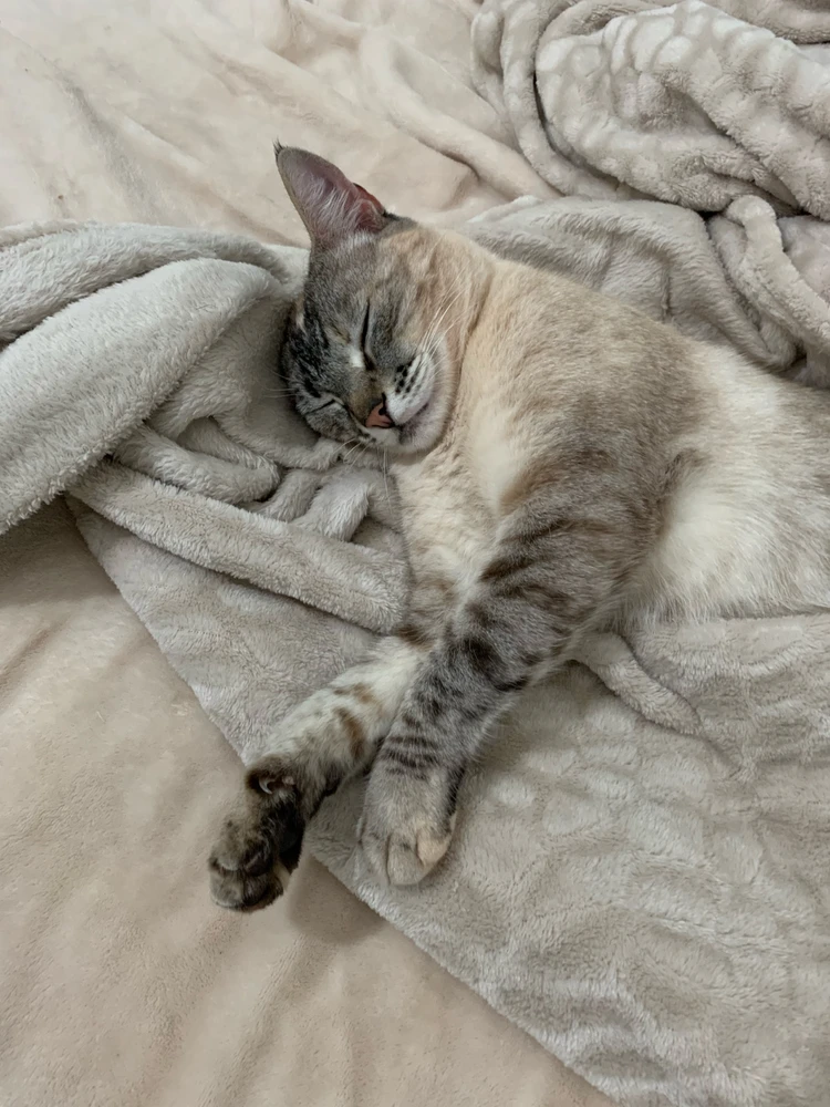 Imagem enviada por Rafael Caíres