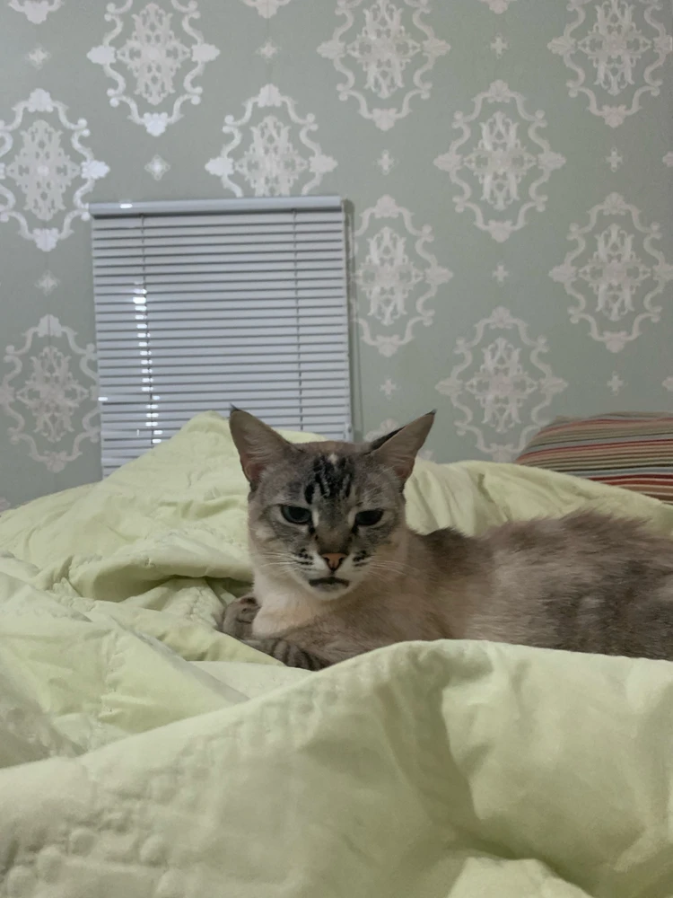 Imagem enviada por Rafael Caíres