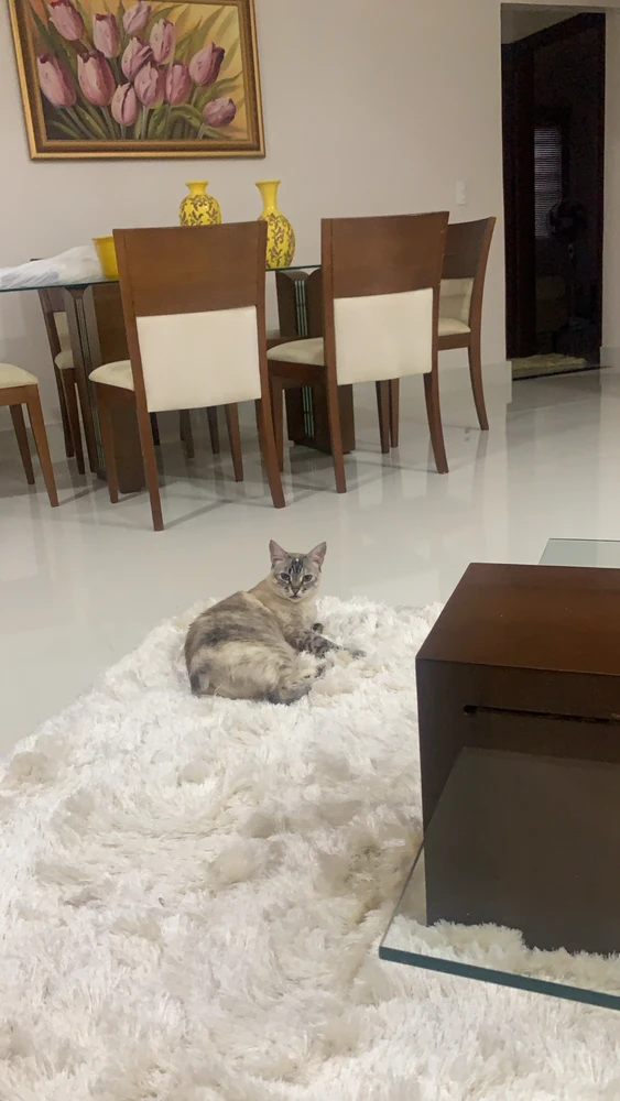 Imagem enviada por Rafael Caíres