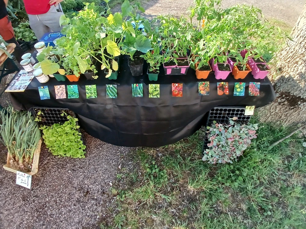 Jongminchoi님이 올린 사진