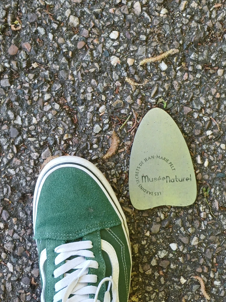 Jongminchoi님이 올린 사진