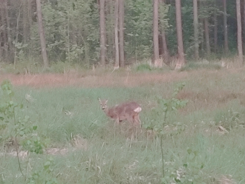 GIF dodany przez Asia