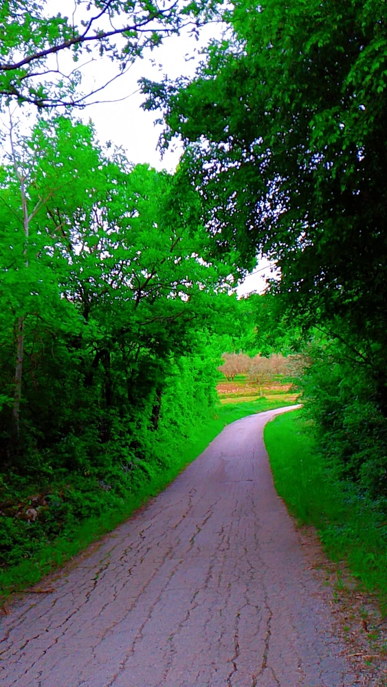 GIF uploaded by Sandra