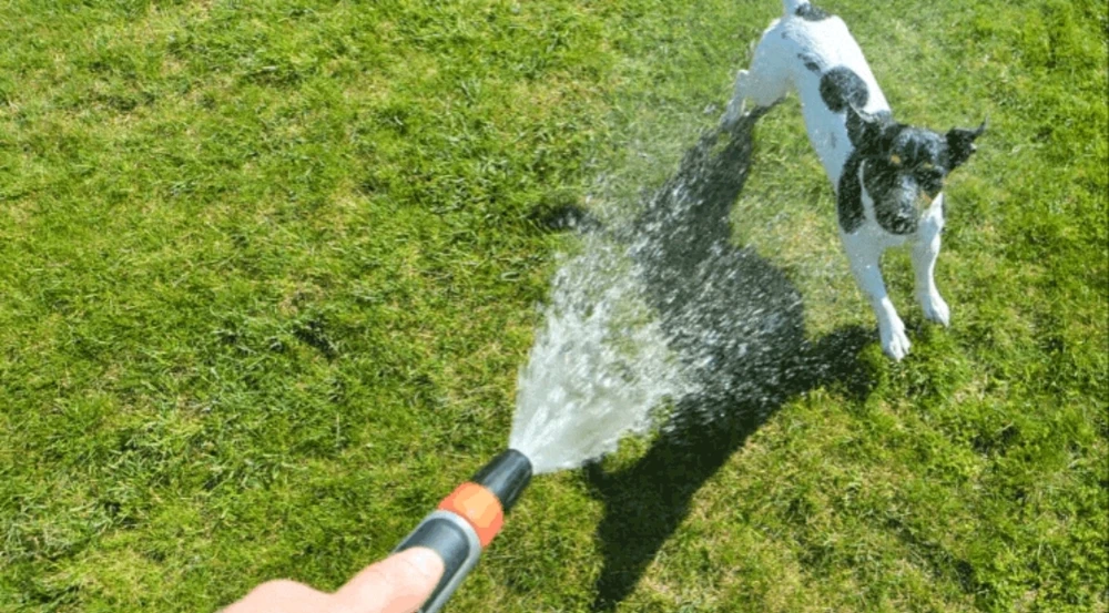 Bild hochgeladen von Ⓜ️🅰️NuEl