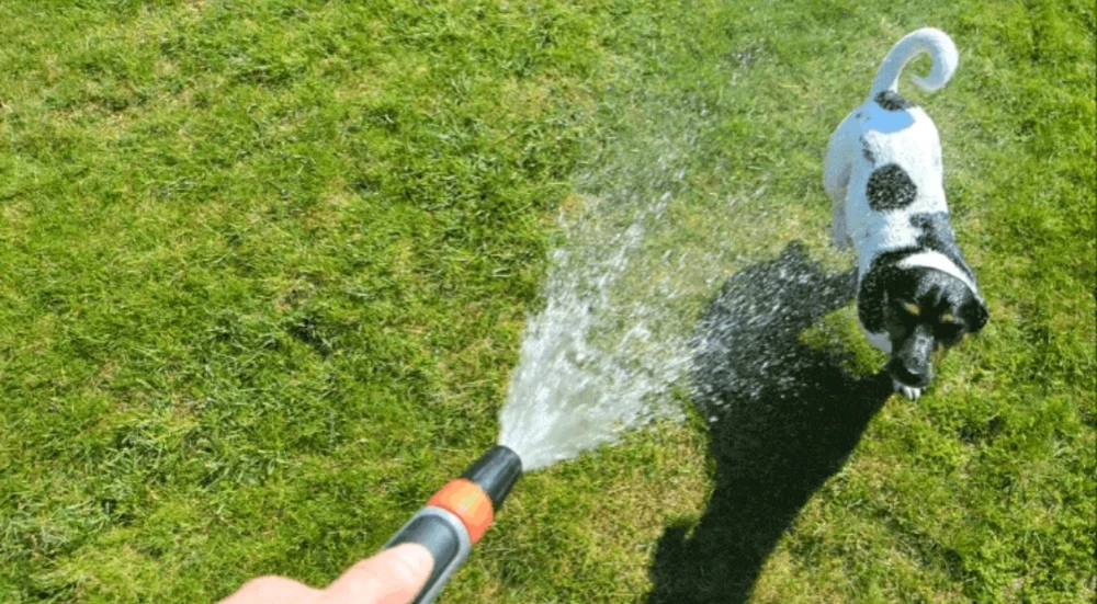 Bild hochgeladen von Ⓜ️🅰️NuEl