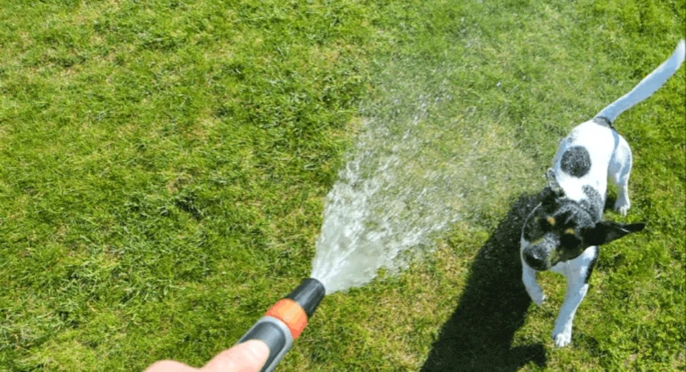 Bild hochgeladen von Ⓜ️🅰️NuEl