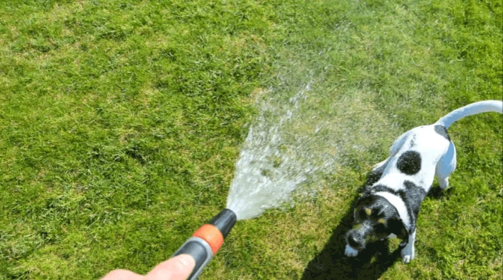 Bild hochgeladen von Ⓜ️🅰️NuEl