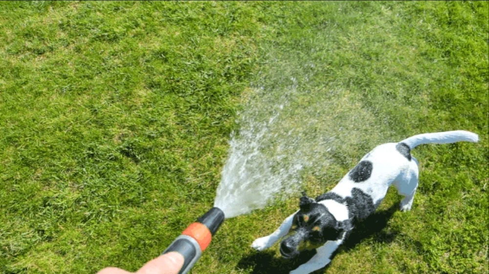 Bild hochgeladen von Ⓜ️🅰️NuEl