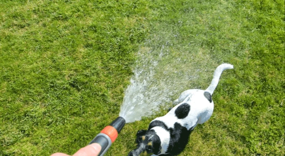 Bild hochgeladen von Ⓜ️🅰️NuEl