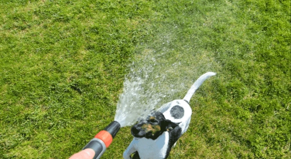 Bild hochgeladen von Ⓜ️🅰️NuEl