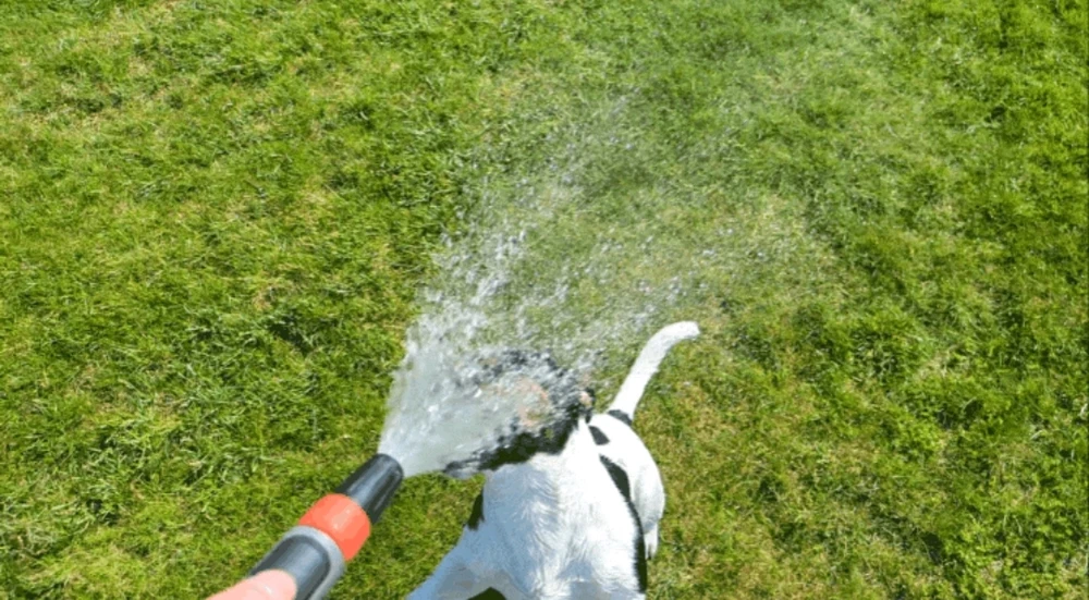 Bild hochgeladen von Ⓜ️🅰️NuEl