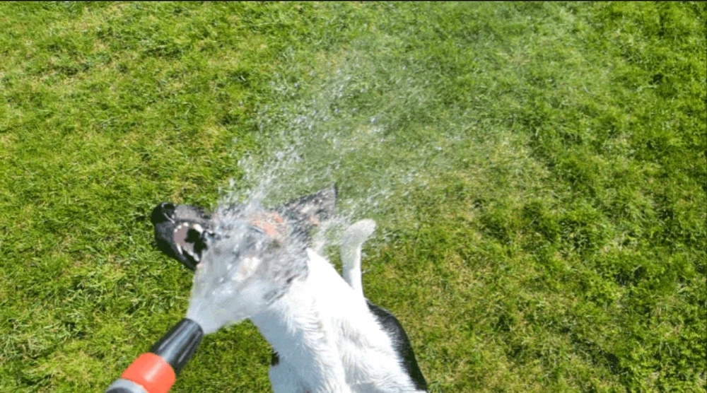 Bild hochgeladen von Ⓜ️🅰️NuEl