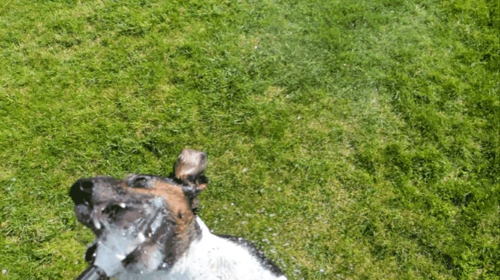 Bild hochgeladen von Ⓜ️🅰️NuEl