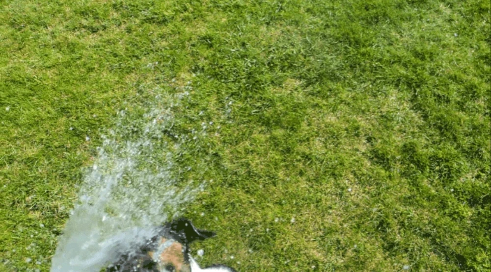 Bild hochgeladen von Ⓜ️🅰️NuEl