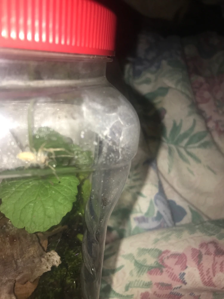 Image uploaded by Kiera