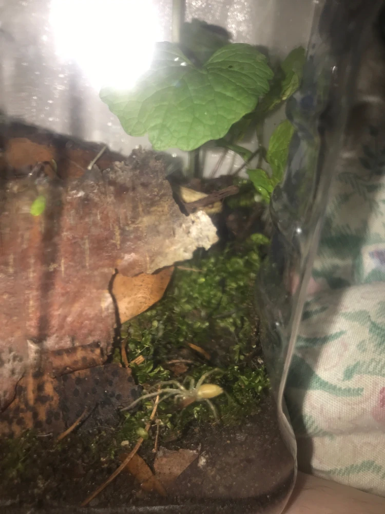 Image uploaded by Kiera