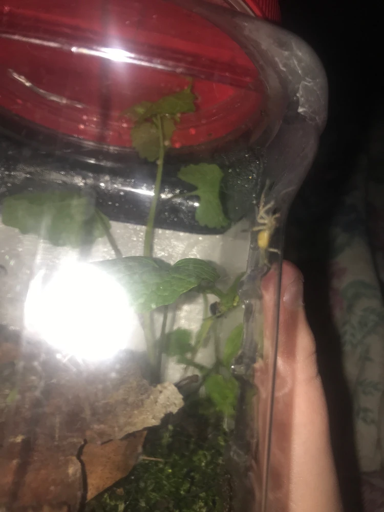 Image uploaded by Kiera