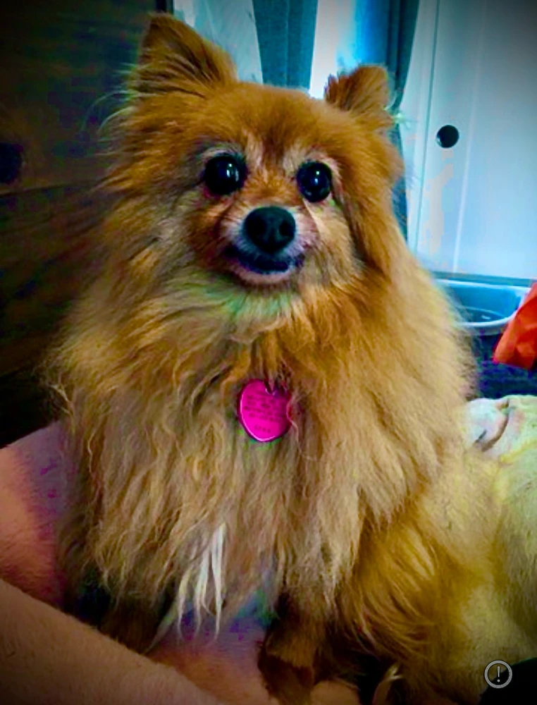 Image uploaded by • A{eye} • M € € •