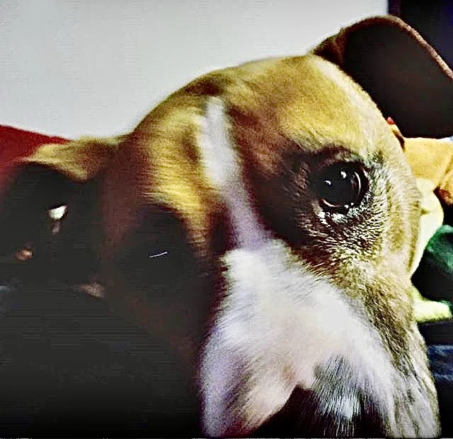 Image uploaded by • A{eye} • M € € •