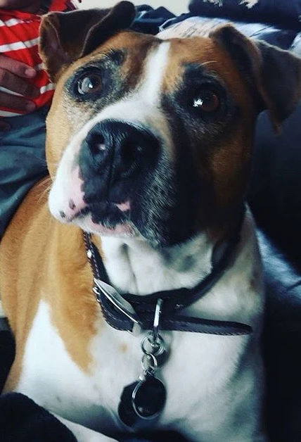 Image uploaded by • A{eye} • M € € •