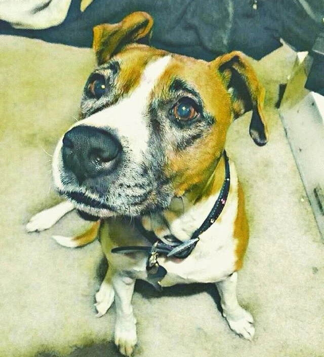 Image uploaded by • A{eye} • M € € •