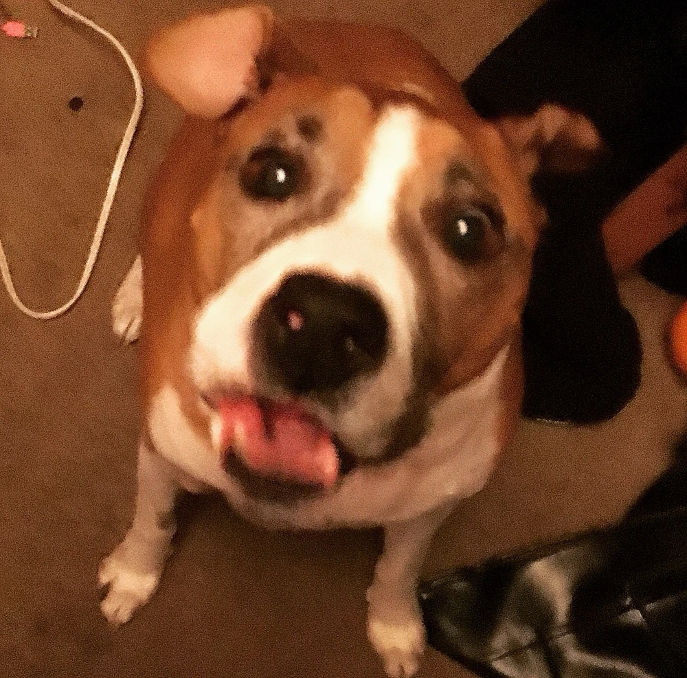 Image uploaded by • A{eye} • M € € •