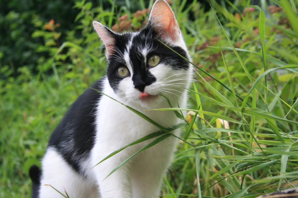 Фото загрузил Boriss