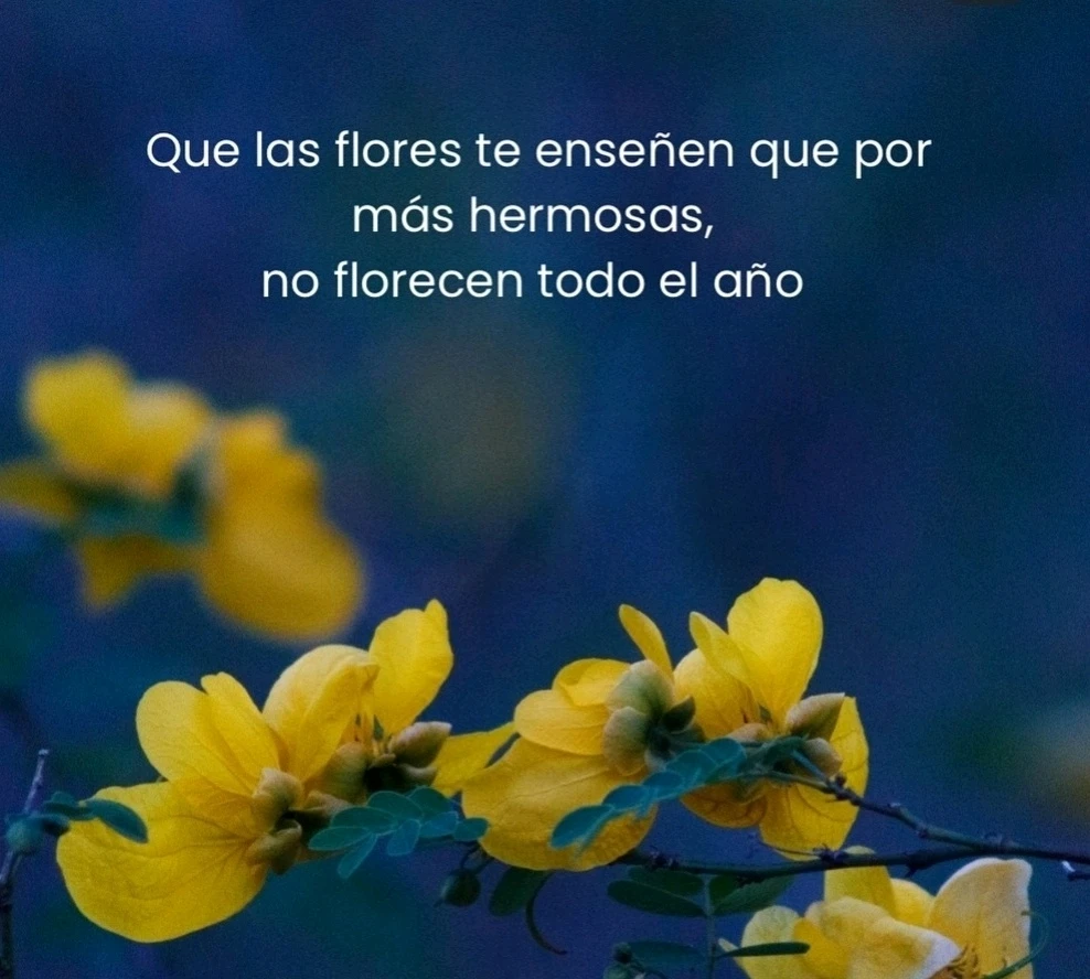 GIF subido por Marigold