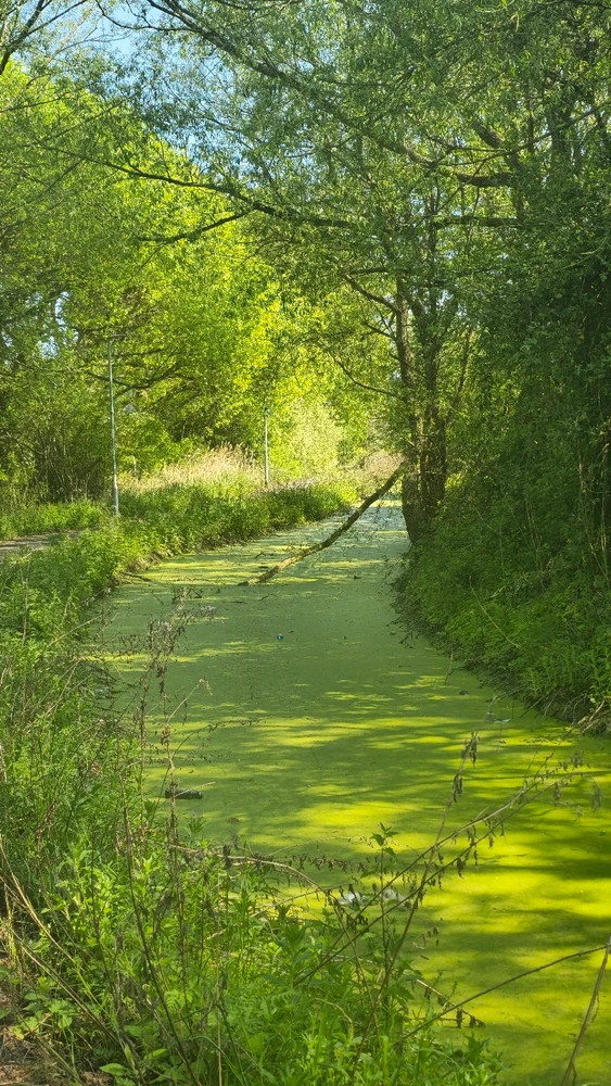 Image uploaded by Yami