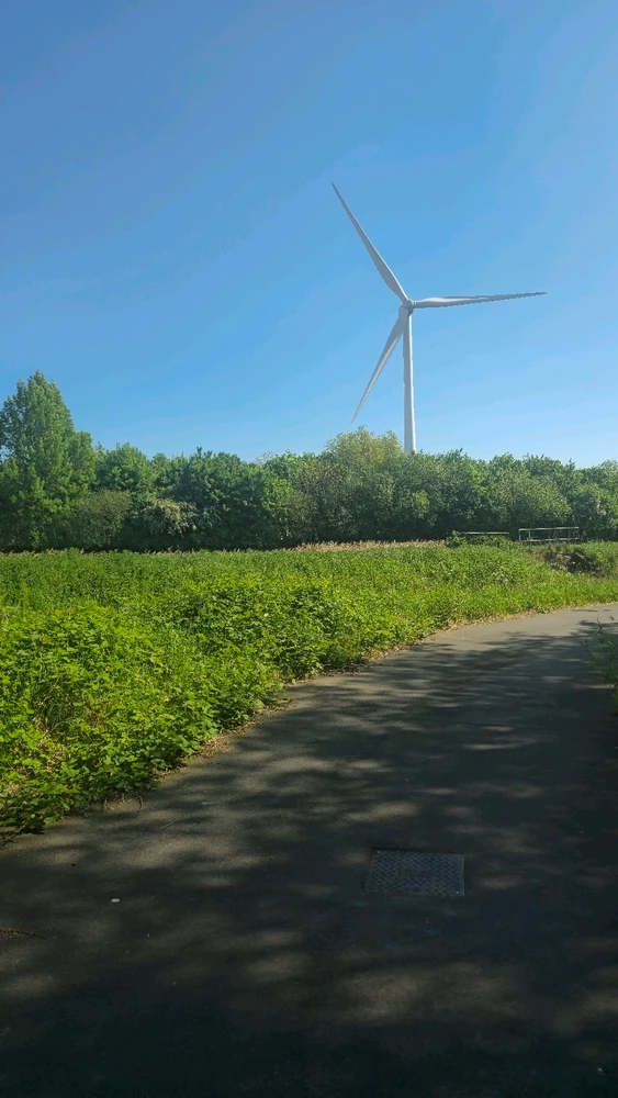 Image uploaded by Yami