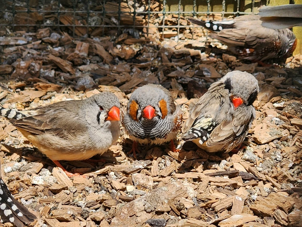 GIF uploaded by Owlbert