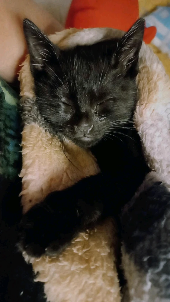 GIF enviado por Paula Kristine