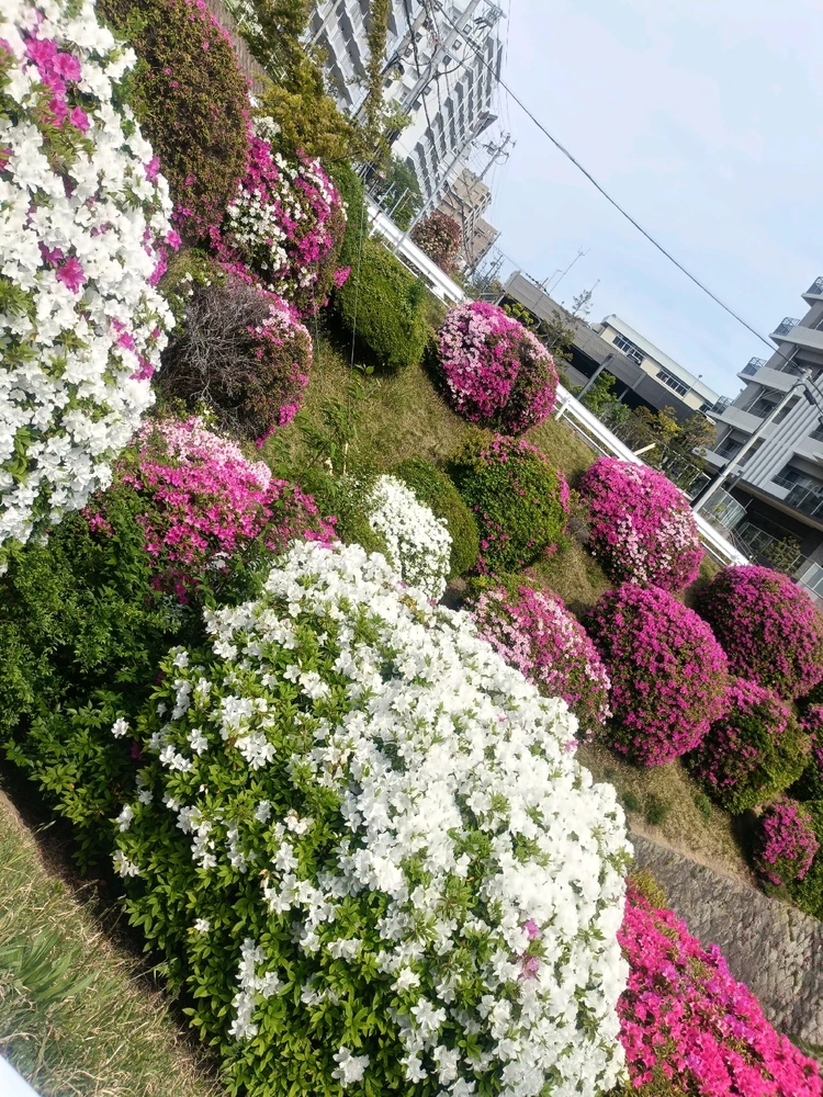 Image uploaded by Rene