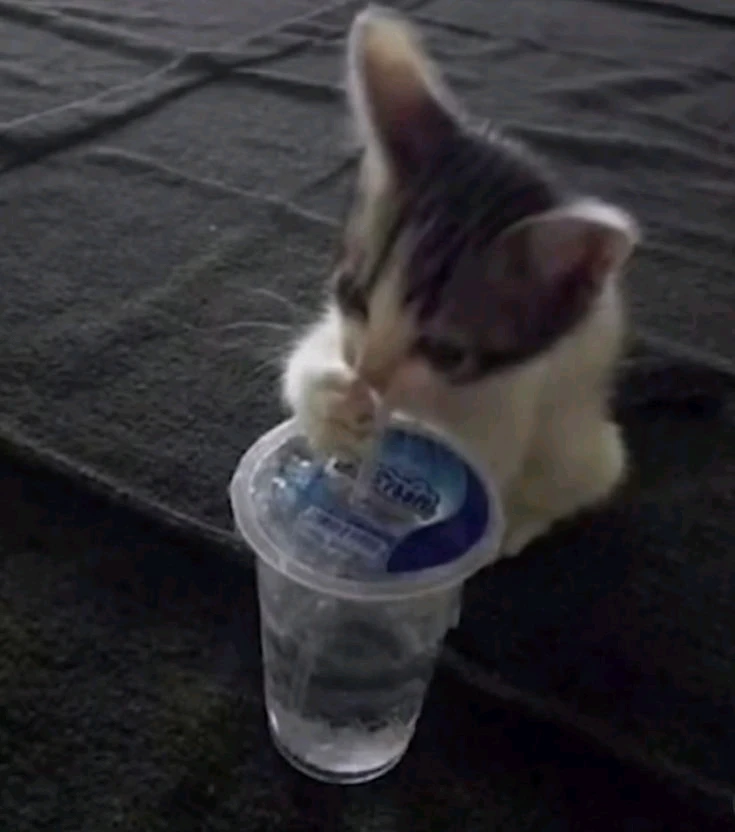 Imagen subida por Ronaldo